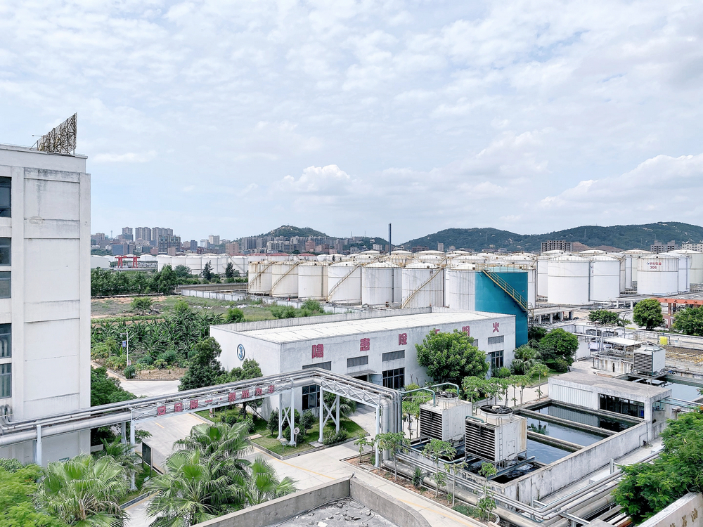 亚洲成片观看四虎永久网站